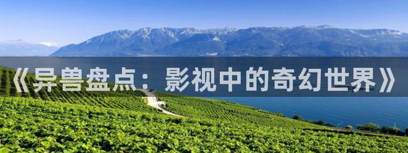 光棍电影2024